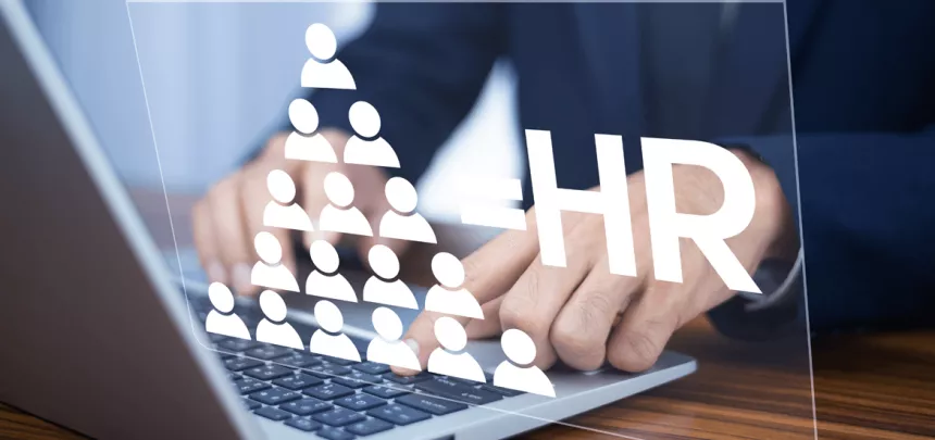 Without optimizing HR processes, human resource management simply cannot work effectively